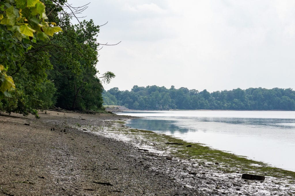 Newbold Island beach at low water