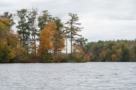 Lake Nockamixen