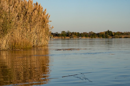 Maurice River