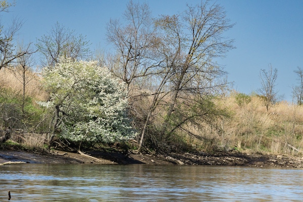 Springtime on Pennsauken Creek.