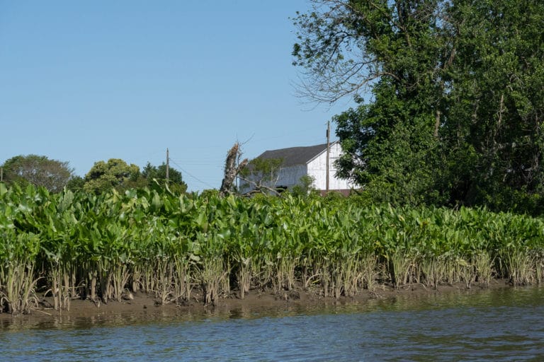 Barn near Oldmans Creek.