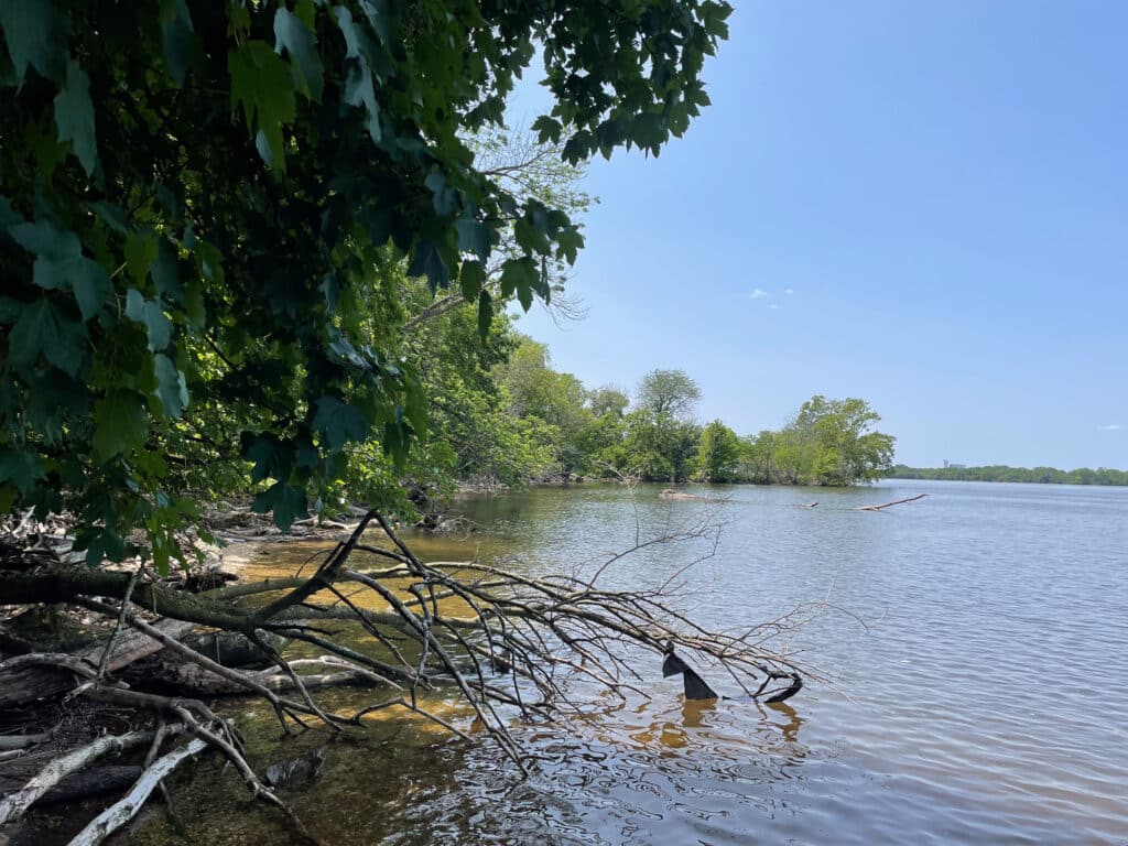 The western shore of Petty Island.